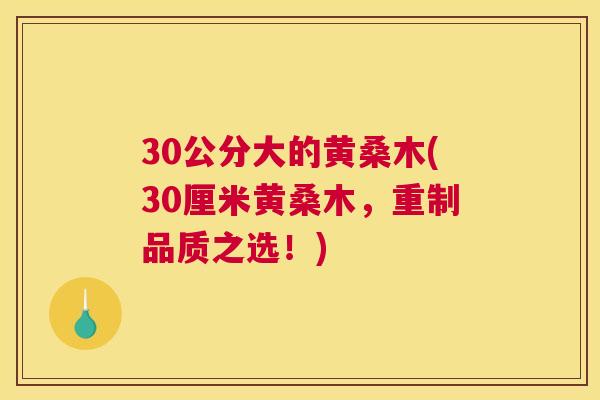 30公分大的黄桑木(30厘米黄桑木，重制品质之选！)