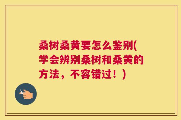 桑树桑黄要怎么鉴别(学会辨别桑树和桑黄的方法,不容错过!) 桑树桑黄要怎么鉴别(学会辨别桑树和桑黄的方法,不容错过!)