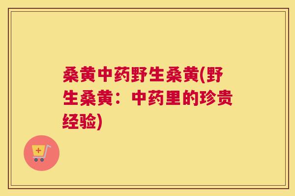 桑黄野生桑黄(野生桑黄:里的珍贵经验) 桑黄野生桑黄(野生桑黄:里的珍贵经验)