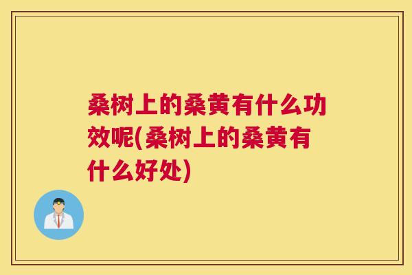 桑树上的桑黄有什么功效呢(桑树上的桑黄有什么好处) 桑树上的桑黄有什么功效呢(桑树上的桑黄有什么好处)