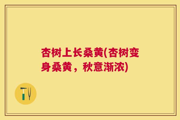 杏树上长桑黄(杏树变身桑黄,秋意渐浓) 杏树上长桑黄(杏树变身桑黄,秋意渐浓)