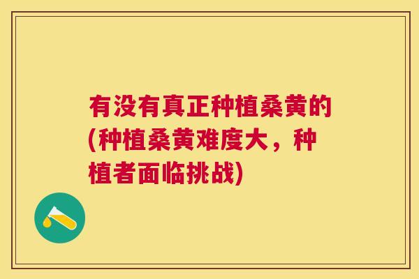 有没有真正种植桑黄的(种植桑黄难度大，种植者面临挑战)