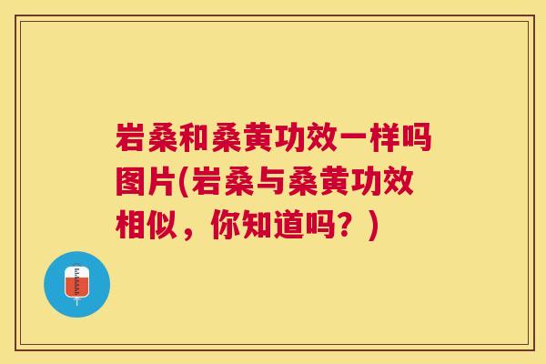 岩桑和桑黄功效一样吗图片(岩桑与桑黄功效相似，你知道吗？)