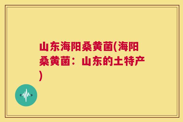 山东海阳桑黄菌(海阳桑黄菌:山东的土特产) 山东海阳桑黄菌(海阳桑黄菌:山东的土特产)
