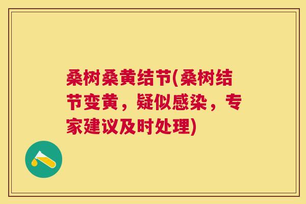 桑树桑黄结节(桑树结节变黄,疑似,专家建议及时处理) 桑树桑黄结节(桑树结节变黄,疑似,专家建议及时处理)