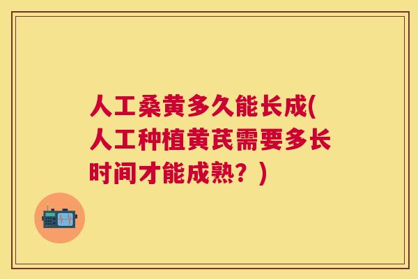 人工桑黄多久能长成(人工种植黄芪需要多长时间才能成熟?) 人工桑黄多久能长成(人工种植黄芪需要多长时间才能成熟?)