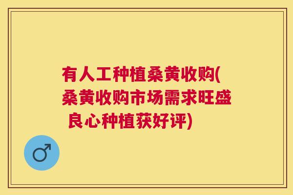 有人工种植桑黄收购(桑黄收购市场需求旺盛 良心种植获好评) 有人工种植桑黄收购(桑黄收购市场需求旺盛 良心种植获好评)