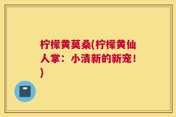 柠檬黄莫桑(柠檬黄仙人掌:小清新的新宠!) 柠檬黄莫桑(柠檬黄仙人掌:小清新的新宠!)