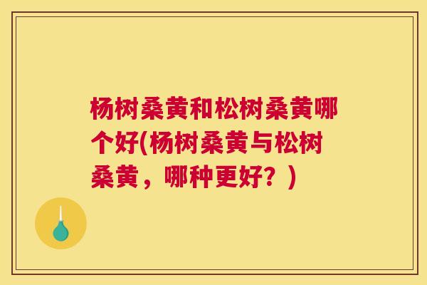 杨树桑黄和松树桑黄哪个好(杨树桑黄与松树桑黄,哪种更好?) 杨树桑黄和松树桑黄哪个好(杨树桑黄与松树桑黄,哪种更好?)