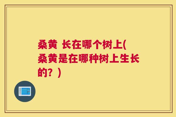 桑黄 长在哪个树上(桑黄是在哪种树上生长的？)