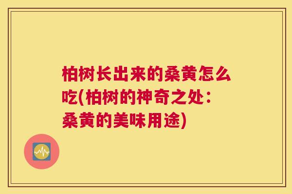 柏树长出来的桑黄怎么吃(柏树的神奇之处:桑黄的美味用途) 柏树长出来的桑黄怎么吃(柏树的神奇之处:桑黄的美味用途)