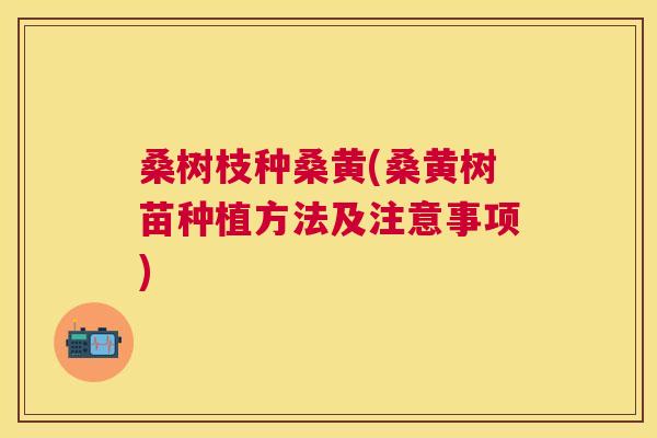 桑树枝种桑黄(桑黄树苗种植方法及注意事项) 桑树枝种桑黄(桑黄树苗种植方法及注意事项)