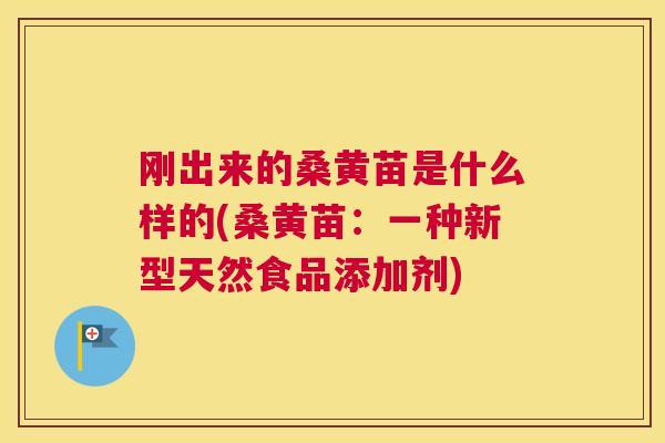 刚出来的桑黄苗是什么样的(桑黄苗:一种新型天然食品添加剂) 刚出来的桑黄苗是什么样的(桑黄苗:一种新型天然食品添加剂)