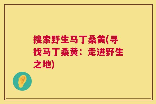 搜索野生马丁桑黄(寻找马丁桑黄:走进野生之地) 搜索野生马丁桑黄(寻找马丁桑黄:走进野生之地)