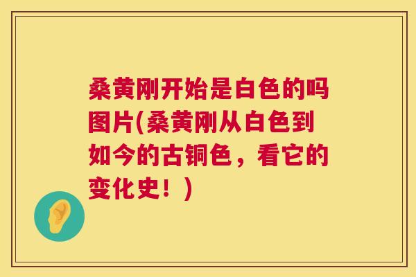 桑黄刚开始是白色的吗图片(桑黄刚从白色到如今的古铜色,看它的变化史!) 桑黄刚开始是白色的吗图片(桑黄刚从白色到如今的古铜色,看它的变化史!)