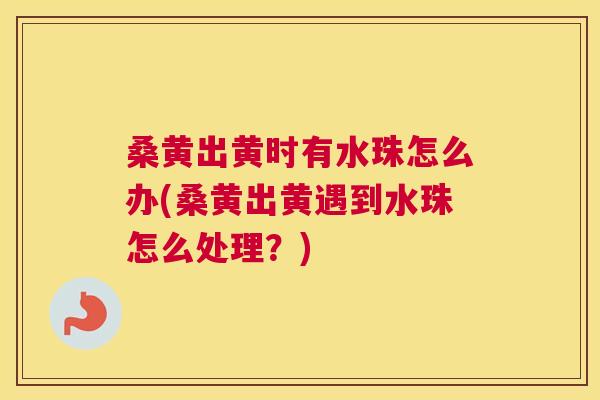 桑黄出黄时有水珠怎么办(桑黄出黄遇到水珠怎么处理?) 桑黄出黄时有水珠怎么办(桑黄出黄遇到水珠怎么处理?)