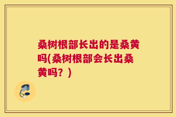 桑树根部长出的是桑黄吗(桑树根部会长出桑黄吗?) 桑树根部长出的是桑黄吗(桑树根部会长出桑黄吗?)