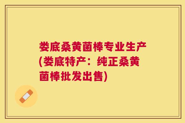 娄底桑黄菌棒专业生产(娄底特产:纯正桑黄菌棒批发出售) 娄底桑黄菌棒专业生产(娄底特产:纯正桑黄菌棒批发出售)