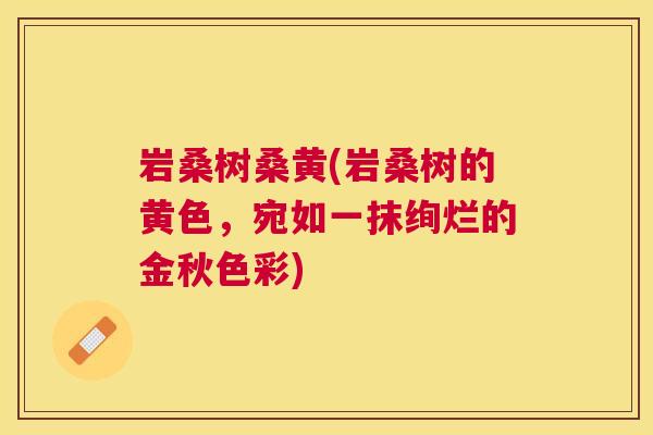 岩桑树桑黄(岩桑树的黄色,宛如一抹绚烂的金秋色彩) 岩桑树桑黄(岩桑树的黄色,宛如一抹绚烂的金秋色彩)