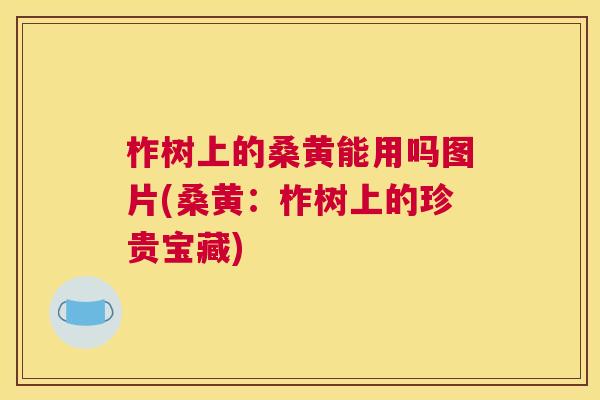 柞树上的桑黄能用吗图片(桑黄:柞树上的珍贵宝藏) 柞树上的桑黄能用吗图片(桑黄:柞树上的珍贵宝藏)
