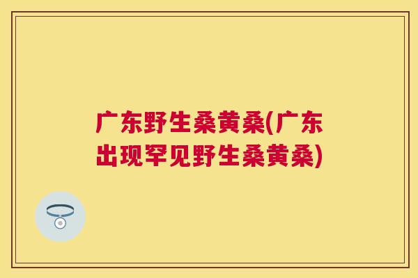 广东野生桑黄桑(广东出现罕见野生桑黄桑) 广东野生桑黄桑(广东出现罕见野生桑黄桑)