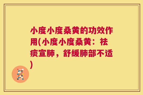 小度小度桑黄的功效作用(小度小度桑黄：宣，舒缓部不适)