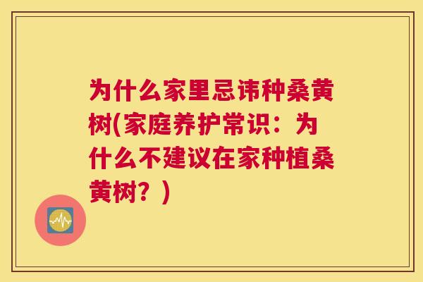 为什么家里忌讳种桑黄树(家庭养护常识:为什么不建议在家种植桑黄树?) 为什么家里忌讳种桑黄树(家庭养护常识:为什么不建议在家种植桑黄树?)