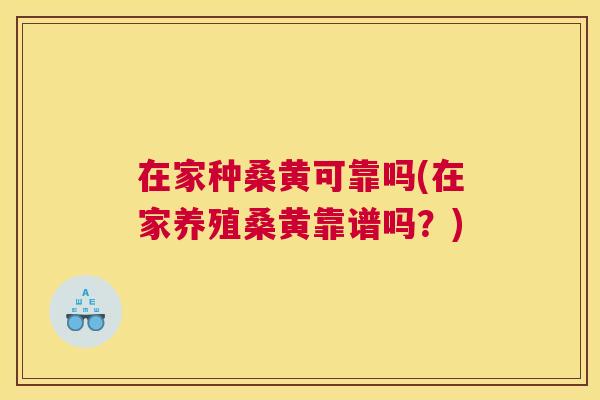 在家种桑黄可靠吗(在家养殖桑黄靠谱吗?) 在家种桑黄可靠吗(在家养殖桑黄靠谱吗?)