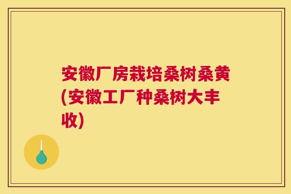 安徽厂房栽培桑树桑黄(安徽工厂种桑树大丰收) 安徽厂房栽培桑树桑黄(安徽工厂种桑树大丰收)