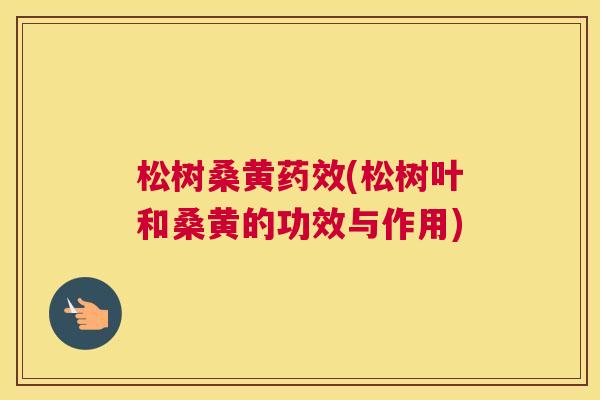 松树桑黄(松树叶和桑黄的功效与作用) 松树桑黄(松树叶和桑黄的功效与作用)
