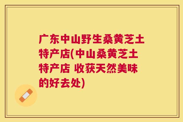 广东中山野生桑黄芝土特产店(中山桑黄芝土特产店 收获天然美味的好去处)
