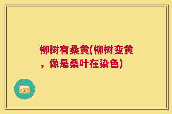柳树有桑黄(柳树变黄,像是桑叶在染色) 柳树有桑黄(柳树变黄,像是桑叶在染色)