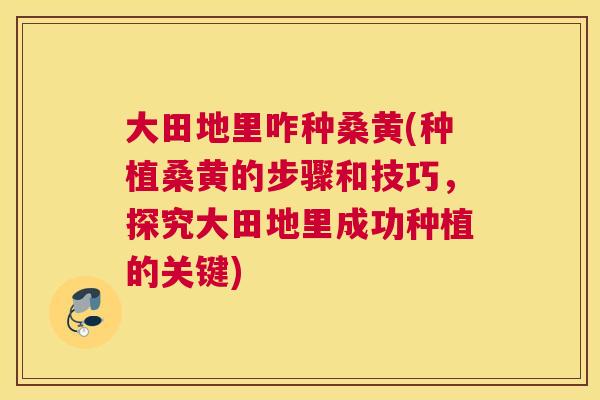 大田地里咋种桑黄(种植桑黄的步骤和技巧,探究大田地里成功种植的关键) 大田地里咋种桑黄(种植桑黄的步骤和技巧,探究大田地里成功种植的关键)