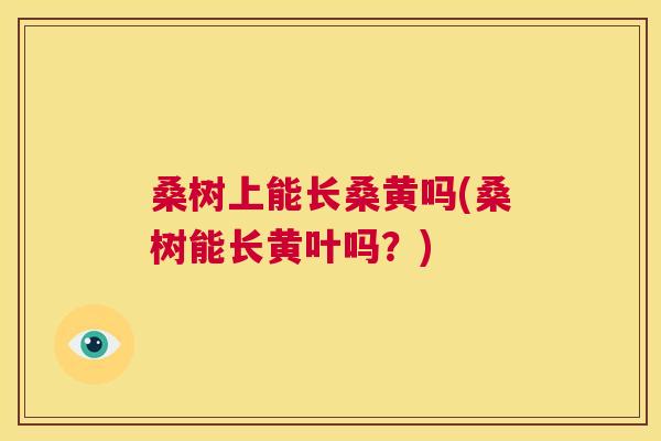桑树上能长桑黄吗(桑树能长黄叶吗?) 桑树上能长桑黄吗(桑树能长黄叶吗?)