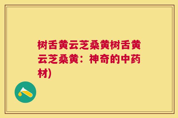 树舌黄云芝桑黄树舌黄云芝桑黄:神奇的材) 树舌黄云芝桑黄树舌黄云芝桑黄:神奇的材)