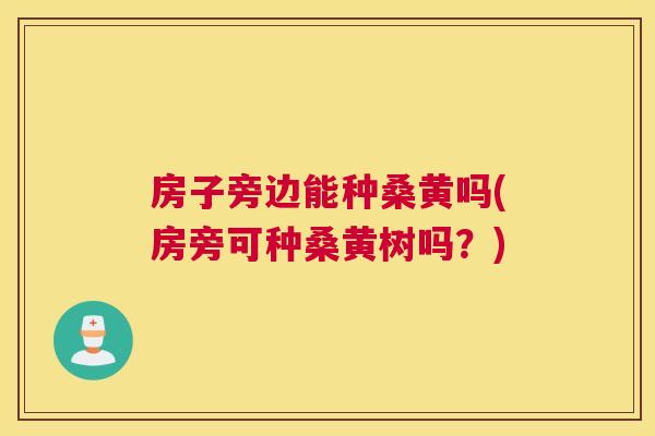 房子旁边能种桑黄吗(房旁可种桑黄树吗?) 房子旁边能种桑黄吗(房旁可种桑黄树吗?)