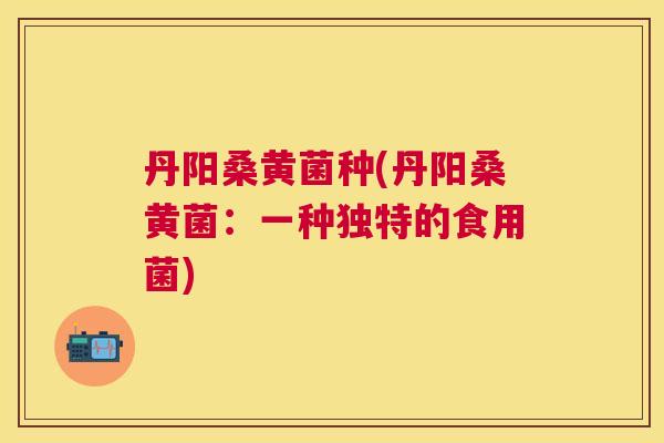 丹阳桑黄菌种(丹阳桑黄菌：一种独特的食用菌)