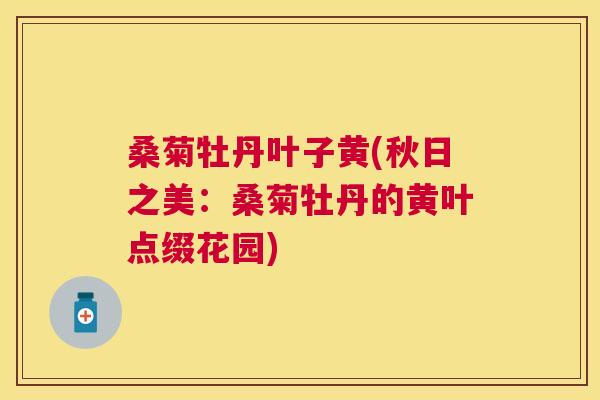 桑菊牡丹叶子黄(秋日之美:桑菊牡丹的黄叶点缀花园) 桑菊牡丹叶子黄(秋日之美:桑菊牡丹的黄叶点缀花园)