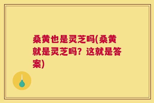 桑黄也是灵芝吗(桑黄就是灵芝吗？这就是答案)