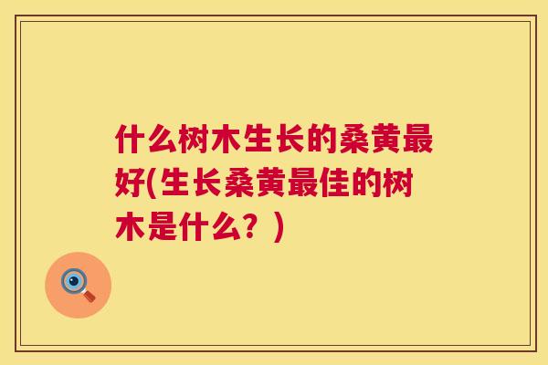 什么树木生长的桑黄好(生长桑黄佳的树木是什么？)