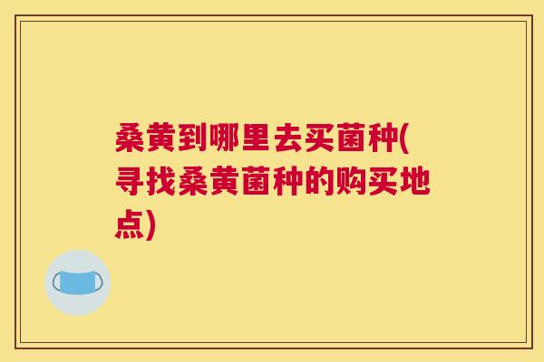 桑黄到哪里去买菌种(寻找桑黄菌种的购买地点) 桑黄到哪里去买菌种(寻找桑黄菌种的购买地点)