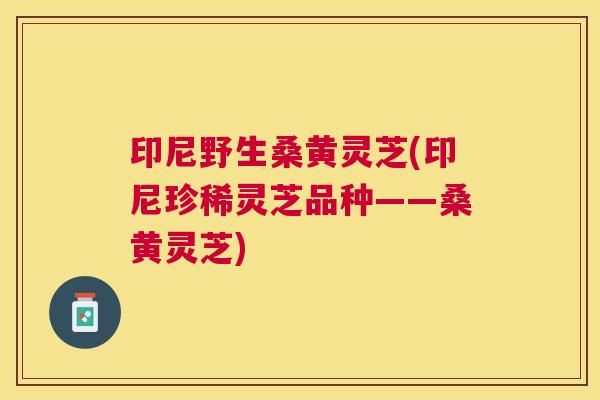 印尼野生桑黄灵芝(印尼珍稀灵芝品种——桑黄灵芝) 印尼野生桑黄灵芝(印尼珍稀灵芝品种——桑黄灵芝)