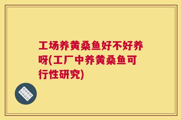 工场养黄桑鱼好不好养呀(工厂中养黄桑鱼可行性研究) 工场养黄桑鱼好不好养呀(工厂中养黄桑鱼可行性研究)