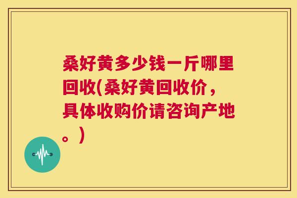 桑好黄多少钱一斤哪里回收(桑好黄回收价,具体收购价请咨询产地。) 桑好黄多少钱一斤哪里回收(桑好黄回收价,具体收购价请咨询产地。)