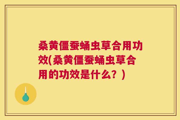 桑黄僵蚕蛹虫草合用功效(桑黄僵蚕蛹虫草合用的功效是什么?) 桑黄僵蚕蛹虫草合用功效(桑黄僵蚕蛹虫草合用的功效是什么?)