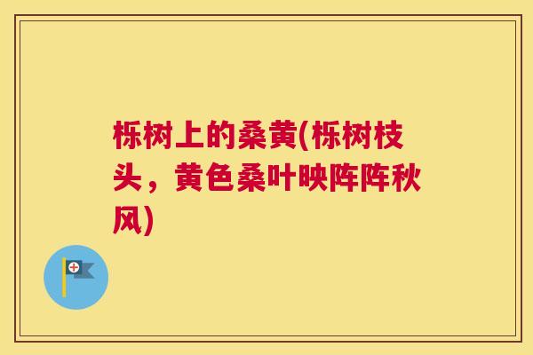栎树上的桑黄(栎树枝头,黄色桑叶映阵阵秋风) 栎树上的桑黄(栎树枝头,黄色桑叶映阵阵秋风)