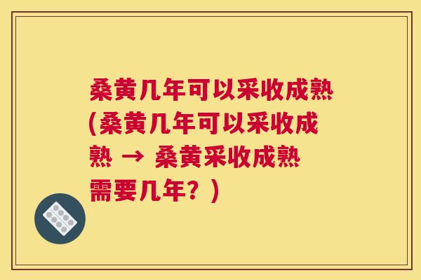 桑黄几年可以采收成熟(桑黄几年可以采收成熟 → 桑黄采收成熟需要几年?) 桑黄几年可以采收成熟(桑黄几年可以采收成熟 → 桑黄采收成熟需要几年?)
