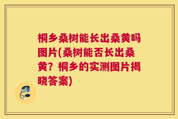 桐乡桑树能长出桑黄吗图片(桑树能否长出桑黄?桐乡的实测图片揭晓答案) 桐乡桑树能长出桑黄吗图片(桑树能否长出桑黄?桐乡的实测图片揭晓答案)