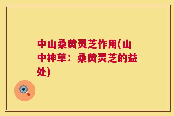 中山桑黄灵芝作用(山中神草:桑黄灵芝的益处) 中山桑黄灵芝作用(山中神草:桑黄灵芝的益处)
