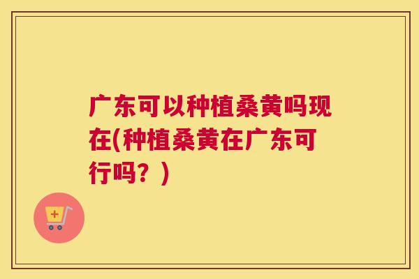 广东可以种植桑黄吗现在(种植桑黄在广东可行吗?) 广东可以种植桑黄吗现在(种植桑黄在广东可行吗?)